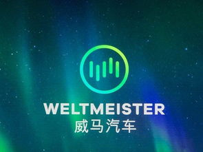 從被冷落到全網(wǎng)刷屏 一則廣告如何讓國產(chǎn)新能源車引爆美國市場